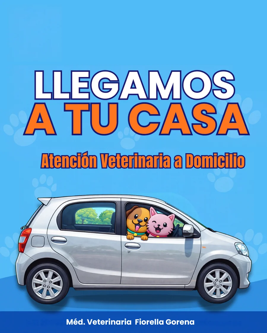 Llegamos a tu casa: atención veterinaria a domicilio, con un perrito y un gatito asomados a la ventanilla de un auto